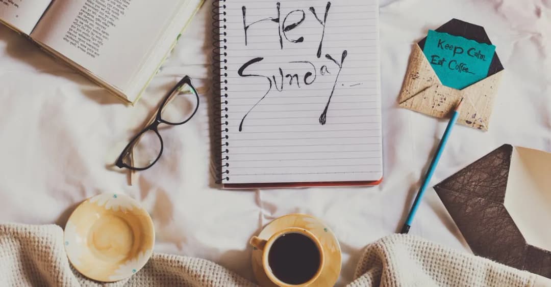 Chomikuj nowe książki: Co warto przeczytać teraz? Najlepsze tytuły